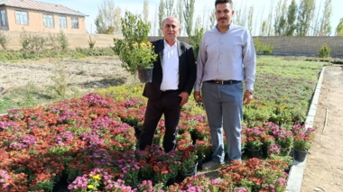 بازدید کارشناسان بخش ثبت و گواهی بذر و نهال از محموله‌های صادراتی نهال آذربایجان غربی