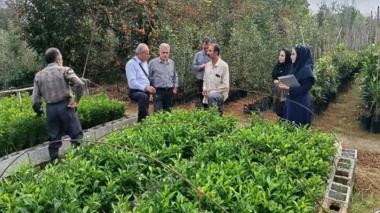 بررسی سلامت و استانداردهای تولید