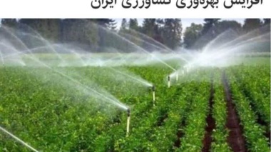 هوشمندسازی مزارع، کلید عبور از بحران آب و افزایش بهره‌وری کشاورزی ایران
