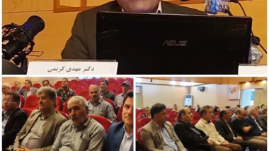 افزایش عملکرد گندم با مصرف بهینه کود اوره در شرایط شور