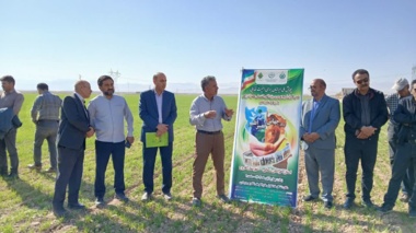 نهمین کاروان ترویج بهره وری الگوی کشت ملی محصولات زراعی با رویکرد تغییر اقلیم