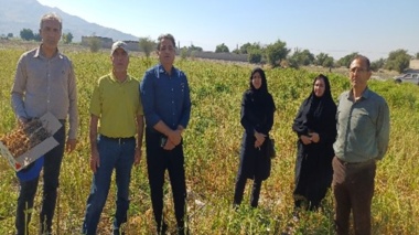 بازدید اعضای هیات علمی موسسه  تحقیقات گیاه پزشکی کشور؛
