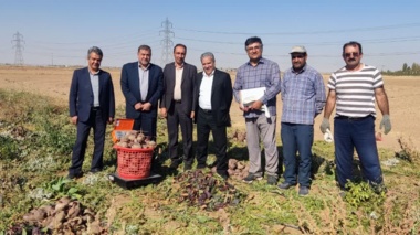 بازدید از پروژه تهیه وارزیابی فامیل‌های نیمه خواهری چغندر لبویی در ایستگاه تحقیقات کشاورزی اراک