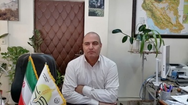 مگس میوه مدیترانه‌ای آفتی با تولید ۱۲ نسل