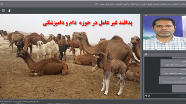 برگزاری سخنرانی علمی پدافند غیر عامل در حوزه  دام و دامپزشکی