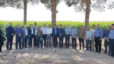 برگزاری روز مزرعه با محور «ارتقای بهره‌وری مصرف آب» در کشاورزی استان سمنان