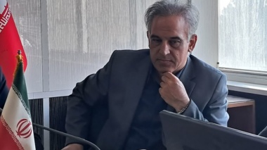 برای نجات بلوط‌های زاگرس باید به سراغ ارقام مقاوم برویم
