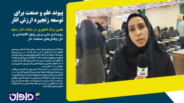 پیوند علم و صنعت برای توسعه زنجیره ارزش انار