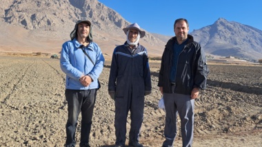 کاشت لاین‌های امیدبخش گندم نان و دوروم در روستای سمنگان صحنه