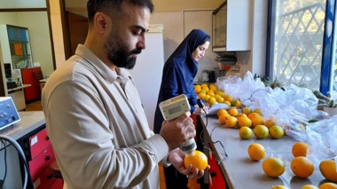 اجرای طرح تحقیقاتی بررسی تاثیر کاربرد کود مایع آلی بر صفات بیوشیمیایی برگ، کیفیت میوه پرتقال و برخی ویژگی‏های کیفی خاک
