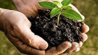 افزایش کیفیت خاک؛ راهکاری مؤثر برای تضمین امنیت غذایی و توسعه پایدار کشاورزی