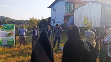 برگزاری کارگاه آموزشی و ترویجی روز انتقال یافته‌های تحقیقاتی با محوریت کنترل بیماری های مرکبات و مگس میوه مدیترانه ای