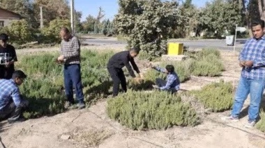 آماده سازی و بهره برداری هنرجویان هنرستان از گلخانه های مستقر در مرکز