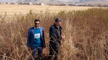 بازدید کمیته فنی نهال استان مرکزی از نهالستان‌های سردسیری