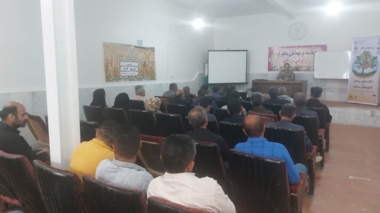 بررسی عوامل مؤثر بر خلاء عملکرد گندم