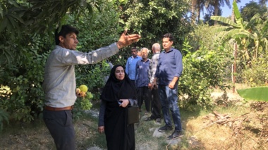 بازدید محقق معین مرکز جهاد کشاورزی نودژ از حوزه تحت پوشش