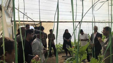 کارگاه آموزشی ترویجی مدیریت بیماری‌های محصولات گلخانه‌ای