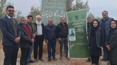 برگزاری کارگاه آموزشی بین‌المللی اصلاح و بهسازی باغات زیتون در گرمسار
