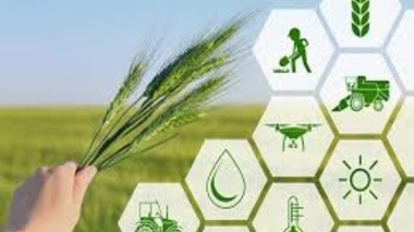 آموزش ملی کسب‌وکارهای نوین؛ گامی امیدبخش برای تحول دیجیتال در کشاورزی ایران
