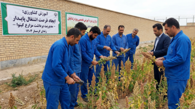 برگزاری دوره آموزشی تخصصی «مدیریت برداشت مزارع کینوا» ویژه زندانیان