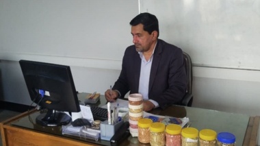 دوره تخصصی شناسایی ارقام گندم و جو