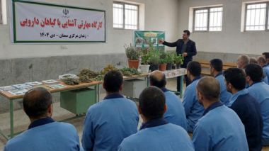 برگزاری کارگاه مهارتی «آشنایی با گیاهان دارویی» ویژه زندانیان استان سمنان