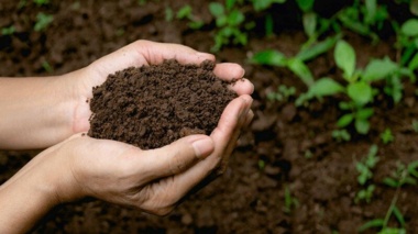 پژوهشگر خوزستانی هشدار داد: خاک حاصلخیز خوزستان در آستانه نابودی