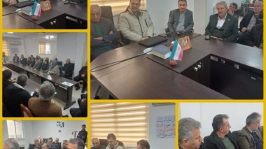 گامی نو در ارتقای بهره‌وری فندق