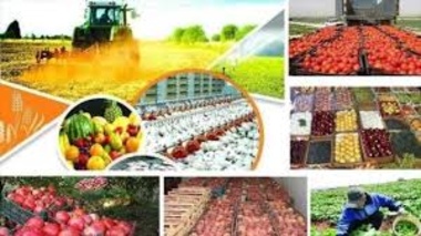 راهکارهای نوین کاهش ضایعات کشاورزی؛ ترویج آموزش‌های نوین برای آینده‌ای پایدار