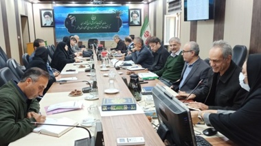 بررسی دستورالعمل‌های نظارتی و برنامه‌های آتی در هفتمین نشست شورای پژوهشی مرکز تحقیقات بوشهر
