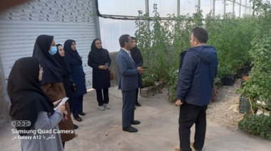 برگزاری کارگاه آموزشی اقدامات زمستانه گلخانه‌ها در شهرستان رفسنجان