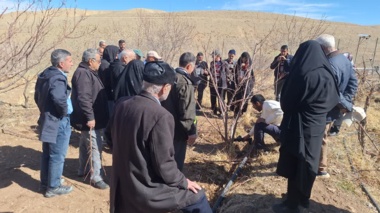 برگزاری دوره آموزشی مدیریت جوان‌سازی درختان میوه در روستای نقوسان شهرستان تفرش