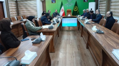 ایران میزبان ذخایر جهانی زیتون