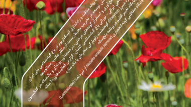 شماره‌ جدید نشریه طبیعت ایران منتشر شد (بهمن و اسفند 1404)