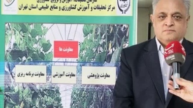 ایجاد مزارع الگویی در استان تهران با هدف انتقال دانش فنی، ارتقای بهره‌وری و افزایش تولید آغاز شد.