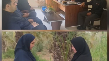 پایش کرم میوه خوار خرما در نخلستان ستاد پژوهشکده خرما و میوه‌های گرمسیری به منظور ارزیابی زمان مبارزه علیه آن