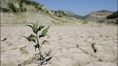 دوره آموزشی خشکسالی در کشاورزی، راه‌های مدیریت و کاهش پیامدهای آن را بررسی می‌کند
