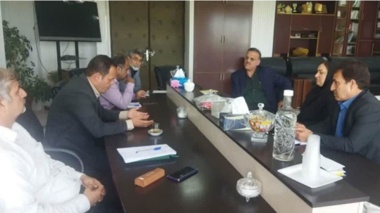 برگزاری نشست کارگروه زراعت چوب در استان بوشهر