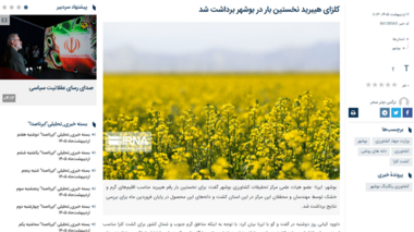 کلزای هیبرید نخستین بار در بوشهر برداشت شد