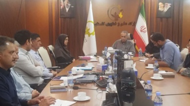 نشست هم‌اندیشی بررسی کاربرد پلاسمای سرد در حوزه بذر برگزار شد