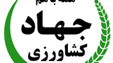از شوک ارزی تا سایه جنگ؛ عبور امنیت غذایی ایران چگونه از یک آزمون سخت