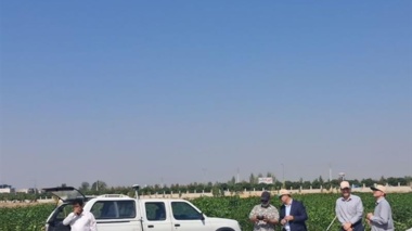 پایش دقیق مزارع سویا و آفتابگردان برای شناسایی خلاء عملکرد