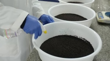 پودر سیر؛ راهکاری طبیعی برای بهبود رشد و تقویت ایمنی فیل‌ماهیان