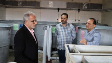 بررسی امکان تکثیر ماهی آزاد دریای خزر در مزارع پرورش ماهی عباس‌آباد