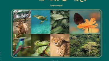 انتشار ویراست دوم کتاب «تنوع زیستی ایران در یک نگاه»؛ راهنمای جامع سیاست‌گذاری و حفاظت از ذخایر ژنتیکی