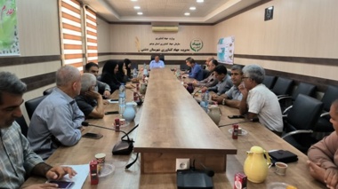 برگزاری کارگاه آموزشی-ترویجی اصلاح الگوی کشت و مدیریت تغذیه گندم در شهرستان دشتی