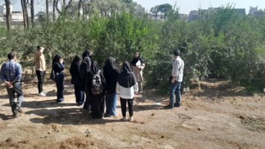 بازدید دانشجویان رشته باغبانی دانشگاه اراک از پردیس تحقیقات و آموزش انار ساوه