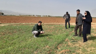 نشست تبیین طرح ملی شبکه مزارع الگویی در مرکز جهاد کشاورزی دیناروند برگزار شد؛ تأکید بر ارتقای دانش کشاورزان و افزایش بهره‌وری در عرصه تولید