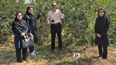 بازدید نمایندگان مرکز ملی مدیریت منابع ژنتیکی و مؤسسه تحقیقات علوم باغبانی از کلکسیون ژرم‌پلاسم انار ایران در ساوه