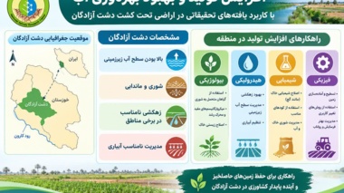 افزایش تولید با کاربرد یافته‌های تحقیقاتی در شرایط شور دشت آزادگان